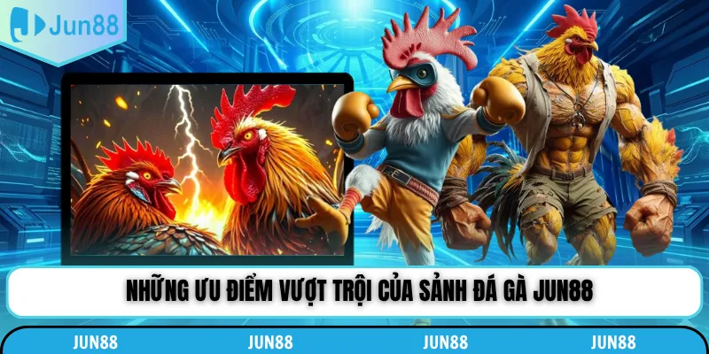 Những ưu điểm vượt trội của sảnh đá gà Jun88